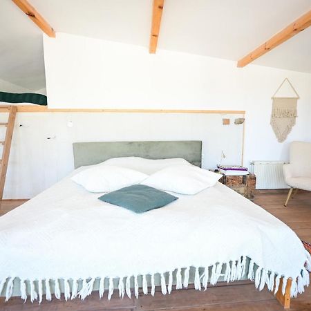 Guest House Bulgarka Dibich Ngoại thất bức ảnh